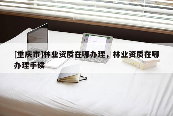 [重庆市]林业资质在哪办理，林业资质在哪办理手续