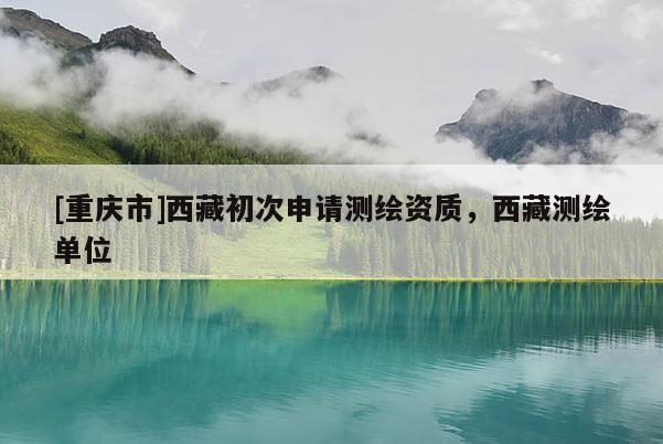 [重庆市] *** 初次申请测绘资质， *** 测绘单位