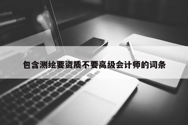 包含测绘要资质不要高级会计师的词条