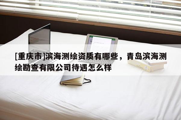 [重庆市]滨海测绘资质有哪些，青岛滨海测绘勘查有限公司待遇怎么样