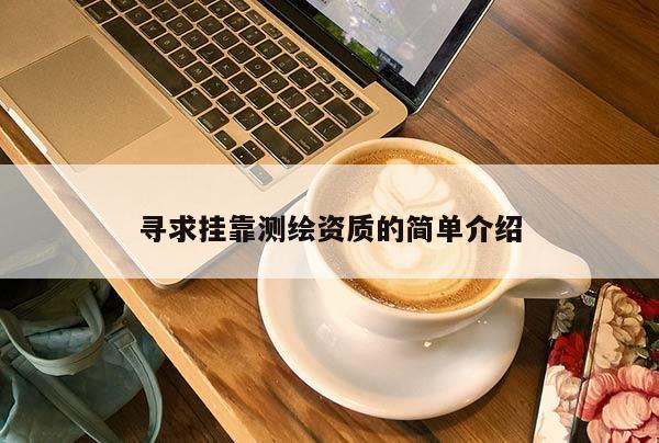 寻求 *** 测绘资质的简单介绍