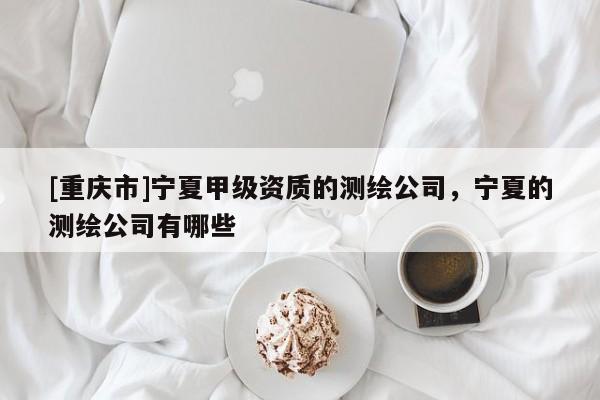 [重庆市]宁夏甲级资质的测绘公司，宁夏的测绘公司有哪些