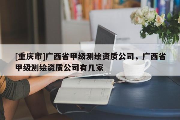 [重庆市]广西省甲级测绘资质公司，广西省甲级测绘资质公司有几家