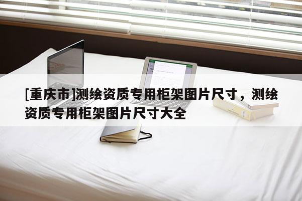 [重庆市]测绘资质专用柜架图片尺寸，测绘资质专用柜架图片尺寸大全