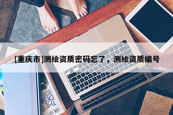 [重庆市]测绘资质密码忘了，测绘资质编号